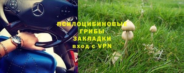 соль ск Володарск