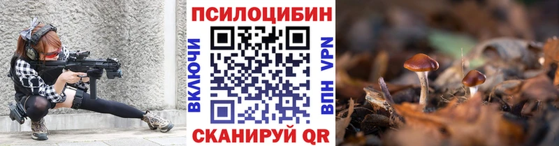 Галлюциногенные грибы Psilocybine cubensis  Купить где  Чегем 